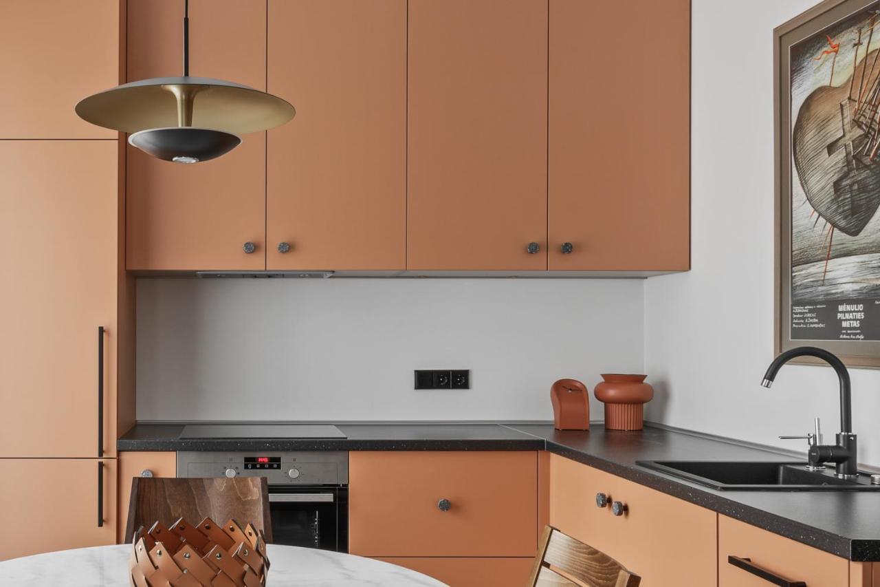 Ivis House - Stylish And Original Apartment In Vilnius Old Town 外观 照片