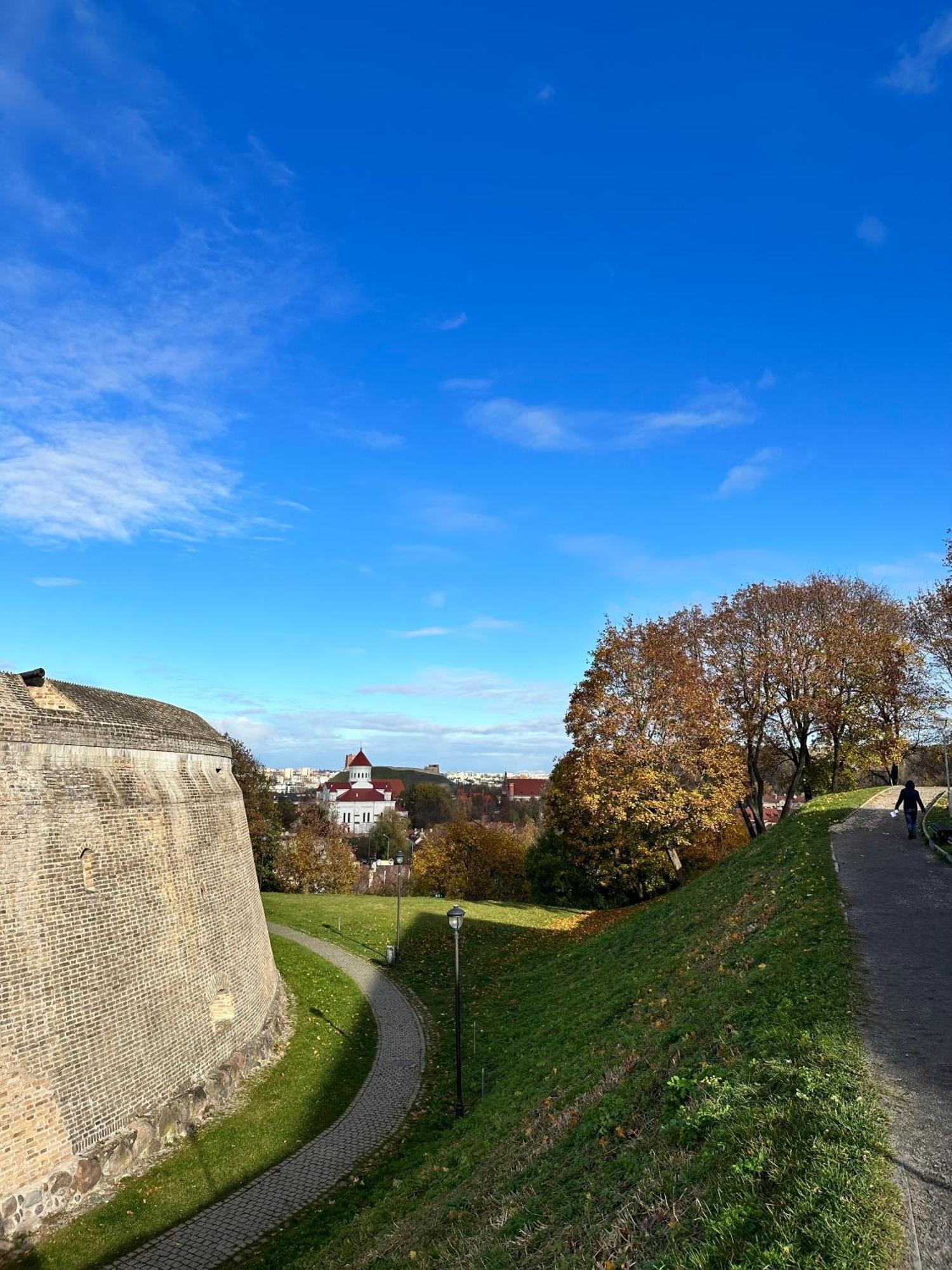 Ivis House - Stylish And Original Apartment In Vilnius Old Town 外观 照片